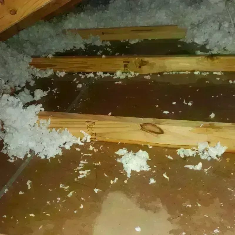 Attic Water Damage in Morgandale, OH